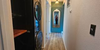 Comfortable 3-Bedroom, 2-Bath Lower Unit with Fully Fenced Yard in West Bremerton Gallery 9