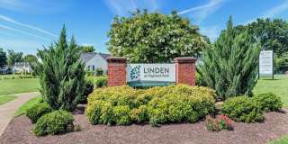 Linden at Highland Park Gallery 24