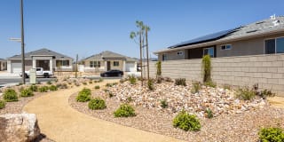 Vello Valley Gallery 26