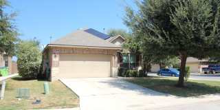13803 COHAN WAY Gallery 1