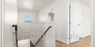 106 Levi Ct - 1 Gallery 12