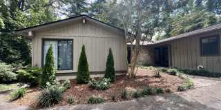 319 Mockingbird Drive Gallery 1