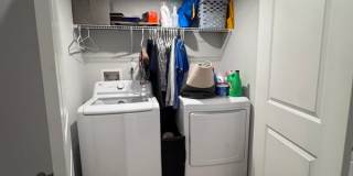 4959 Lexi Ln - 1 Gallery 42