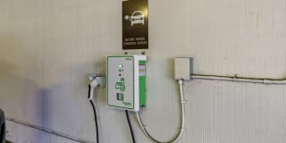 The Collection Gallery 51