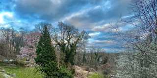 3111 CHAIN BRIDGE Road NW Gallery 66