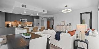 Aster & Links Gallery 79