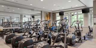 The Charleston Gallery 28