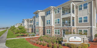 Art Avenue Gallery 33