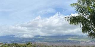 Tropical oasis Gallery 1