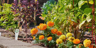 Vue Issaquah Gallery 52