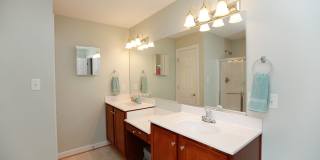 Gorgeous 4 Bedroom Home For Rent in Chesapeake! Gallery 36