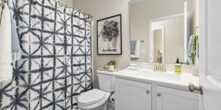 Banyan Silo Ridge Gallery 19