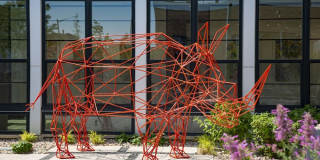 Camden RiNo Gallery 40