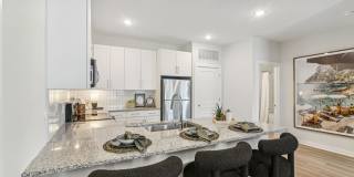 The Stafford Gallery 19