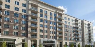 Pearl Residences At CityCentre Gallery 1