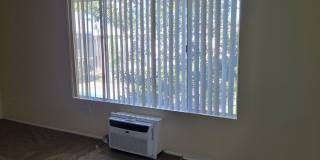 Ikaria Apartments Gallery 16