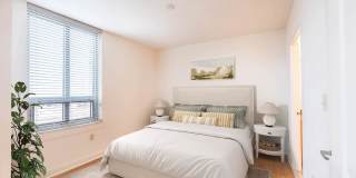 The Veridian Gallery 13