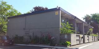 Kalani Apartments Gallery 16