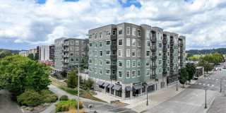 Elan Redmond Gallery 26