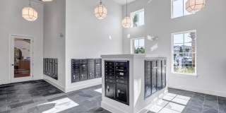 Tapestry Palmera Gallery 67