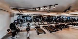 Museum Terrace Gallery 25