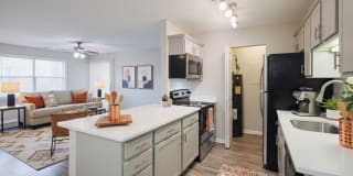 Triangle Park Apartments Gallery 3