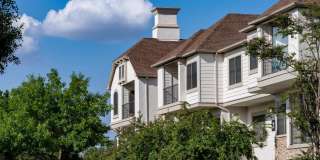 Alister Sunset Valley Gallery 43