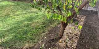 Coming Soon! Gallery 19