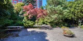 Saxton Apartments Gallery 50