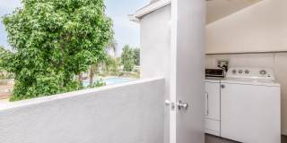 Palm Court Apartment Homes Gallery 29