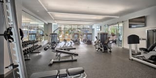 AVE Florham Park Gallery 9