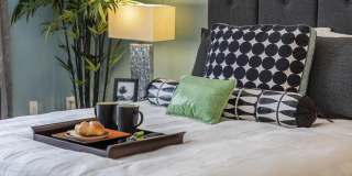 The Palms of Doral Gallery 35