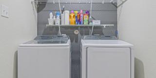 2831 Lavender Gallery 26