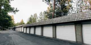 Treetop Gallery 4