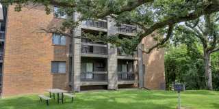 The Woodlands of Minnetonka Gallery 45