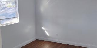 21862 Dracaea Gallery 7