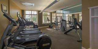 Promenade Pointe Gallery 16