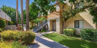 Palm Desert Gallery 26