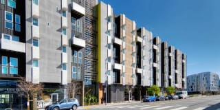 Potrero 1010 Gallery 12