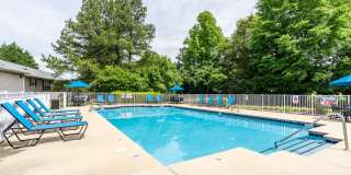 River Birch at Town Center Gallery 1