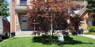 3825 Kenker Place - 1 Gallery 9
