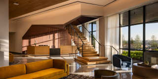Olive Gallery 19