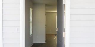 391 Coconut Drive Gallery 4