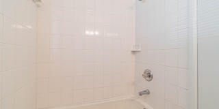 Three Bedroom Home in tree filled neighborhood! Lawn care included! Gallery 21