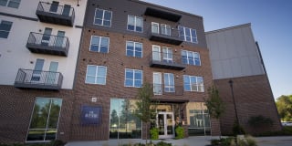 Avenue Madison Gallery 22