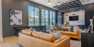 Isla Palmetto Gallery 1