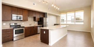 The Elysian Gallery 508