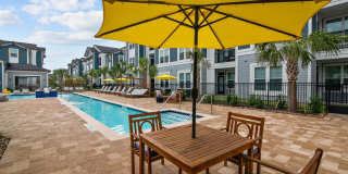 Evolve Champions Gallery 14