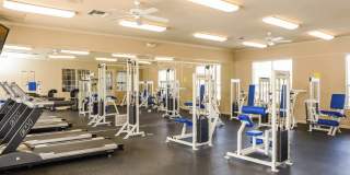 Lifestyles at Los Paseos Apartments Gallery 6