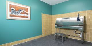 Estrella Springs at Canyon Trails - Affordable Housing Gallery 26